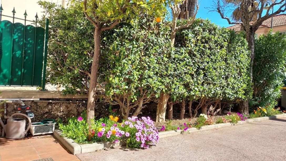 Rez-De-Chaussee Privatif Spacieux 3* D'Une Villa Centre Ville Hyères Exteriör bild